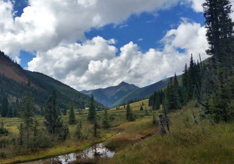 Fen wetland in the San Juan Mountains.