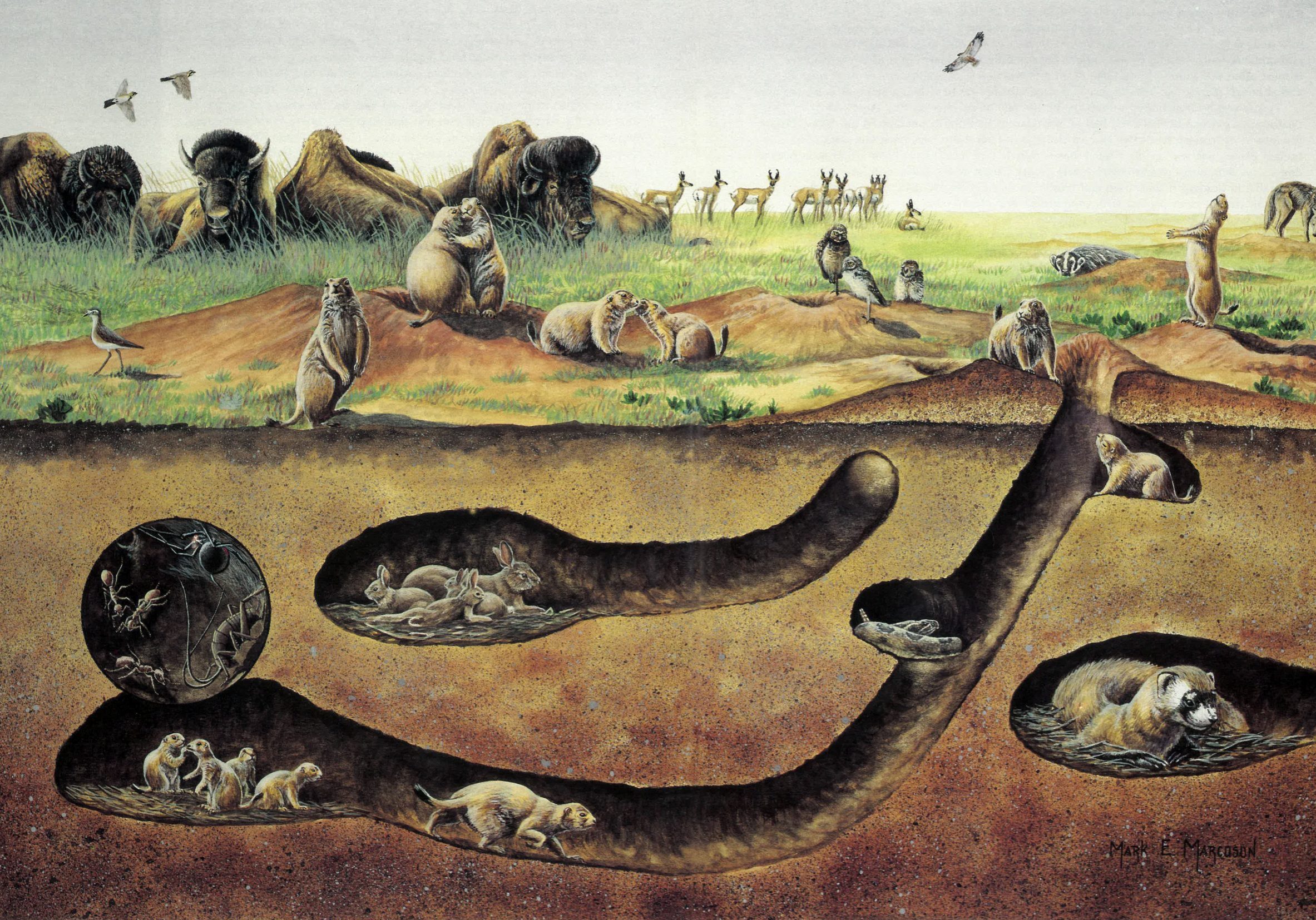 SWICA_Admin21010810590