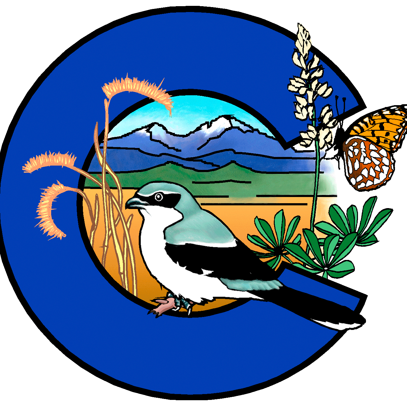 cnhp_c_only_transparent_small.fw_