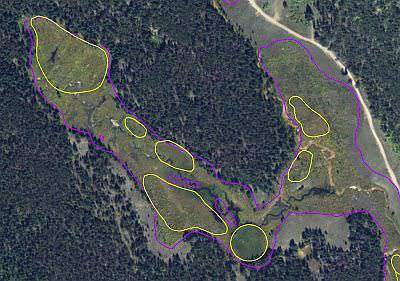 A fen complex in Pike/San Isabel National Forest.