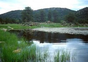Smitherman Conservation Easement in Larimer County, Colorado.